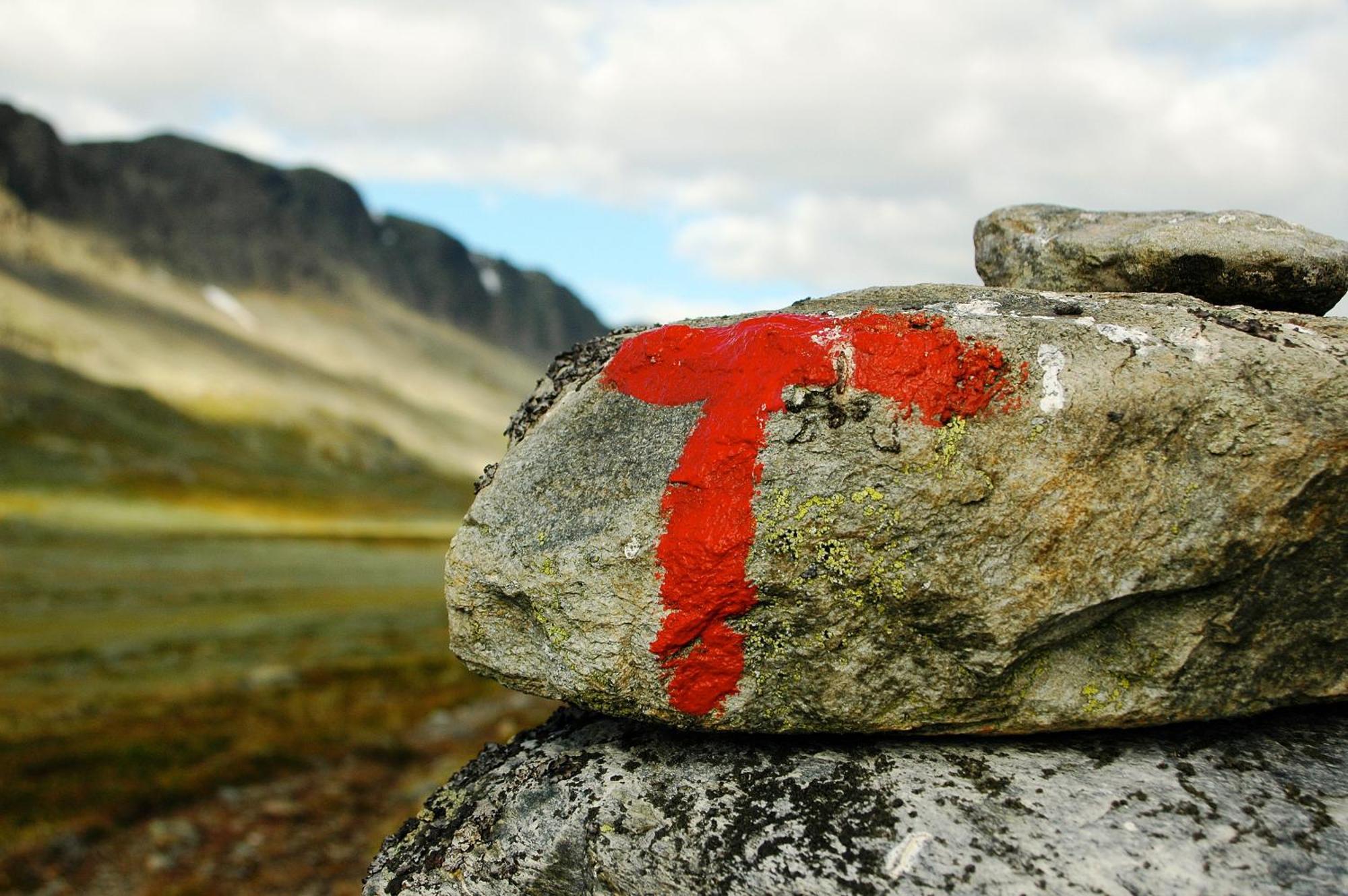 Rodungstol Hoyfjellshotell المظهر الخارجي الصورة